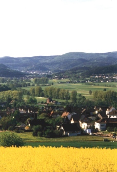 Blick von der Schutzhütte Richtung Biedenkopf 2001
